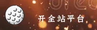 使用指南与常见问题